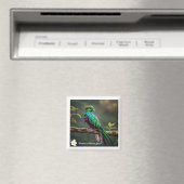 Aimant "Beauté en plumes" (In Situ (Lave-vaisselle))