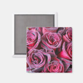 Aimant Beauté Velvet (Recto/Verso)