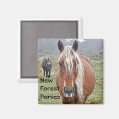Aimant Beautiful Equines Cheval-lover's Gift (Recto/Verso)