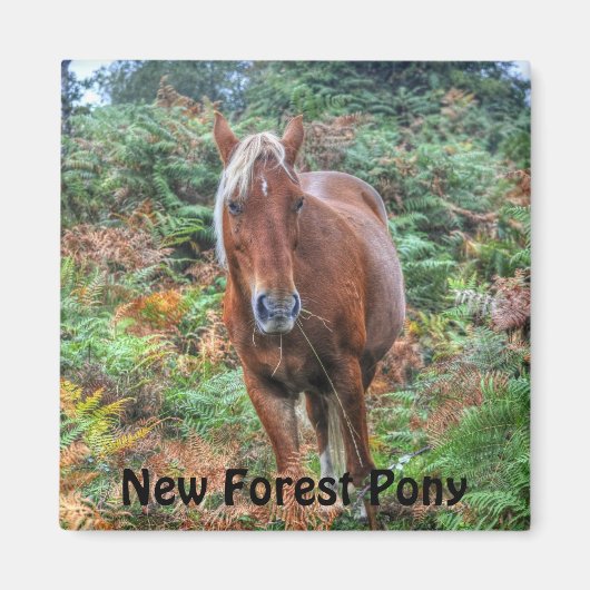 Aimant Beautiful Equines Cheval-lover's Gift (Devant)