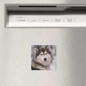 Aimant Beautiful Husky in the Outdoors (In Situ (Lave-vaisselle))