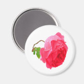 Aimant Beautiful rose with great pink colors and raindrop (Recto/Verso)
