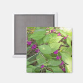 Aimant Beautyberries violettes (Recto/Verso)