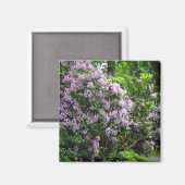 Aimant Beaux Rhododendrons (Recto/Verso)