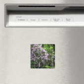 Aimant Beaux Rhododendrons (In Situ (Lave-vaisselle))