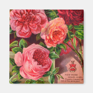 Aimant Beaux Roses de publicité florale Vintage