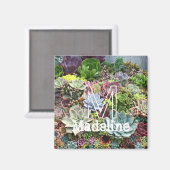 Aimant Beaux succulents (Recto/Verso)