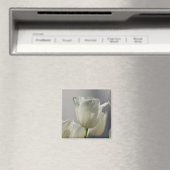 Aimant Beaux Tulipes Blancs de Printemps (In Situ (Lave-vaisselle))