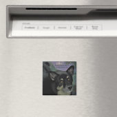 Aimant Beaux yeux de chien noir (In Situ (Lave-vaisselle))