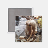 Aimant Beaver (Recto/Verso)