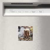 Aimant Beaver (In Situ (Lave-vaisselle))