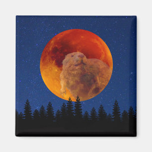 Aimant Beaver Moon en novembre