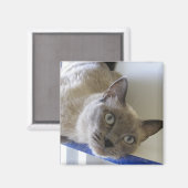 Aimant Bébé (Recto/Verso)