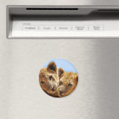 Aimant Bébé amour lion (In Situ (Lave-vaisselle))