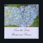 Aimant Bébé Blue Hydrangeas<br><div class="desc">Belle hydrangée bleu clair avec vert foncé accent feuillage cet élégant enregistrer l'aimant de date. La couleur de la bordure est un bleu doux. Customisez comme vous le souhaitez.</div>