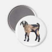 Aimant bébé chèvre (Recto/Verso)