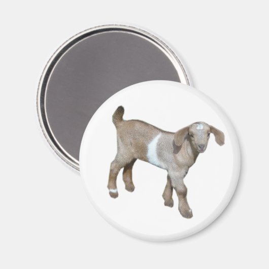 Aimant bébé chèvre (Recto/Verso)