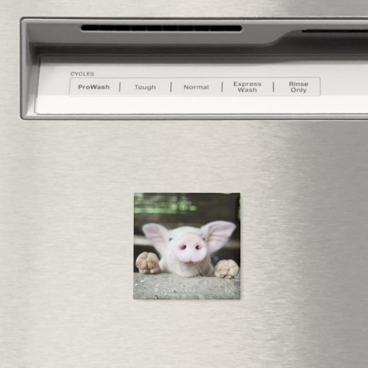 Aimant Bébé Cochon en Stylo, Piglet (In Situ (Lave-vaisselle))