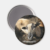 Aimant Bébé du ranch de chêne noir (Recto/Verso)