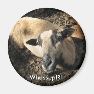 Aimant Bébé du ranch de chêne noir