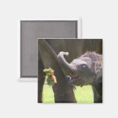 Aimant Bébé éléphant (Recto/Verso)