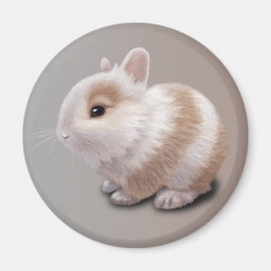 Aimant Bébé Lapin