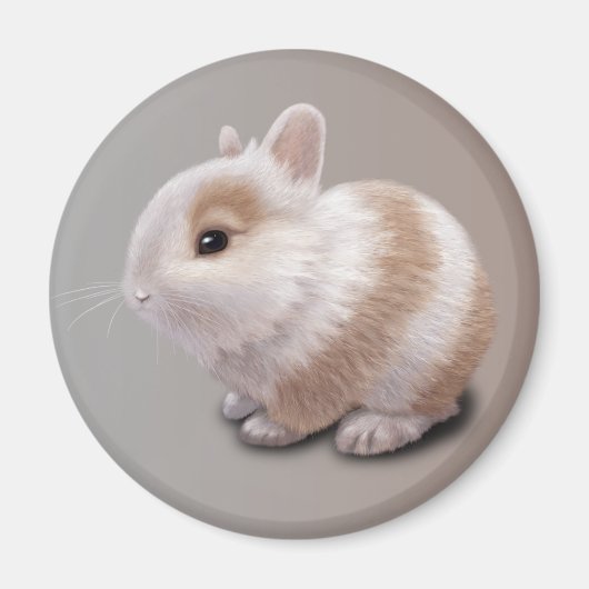 Aimant Bébé Lapin (Devant)