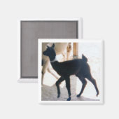 AIMANT BÉBÉ LLAMA (Recto/Verso)