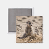 Aimant Bébé Meerkat Jouant Dans Le Sable, (Recto/Verso)