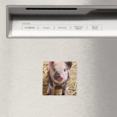 Aimant Bébé mignon Animaux de la ferme des porcs Barnyard (In Situ (Lave-vaisselle))