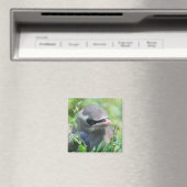 Aimant Bébé mignon Nature (In Situ (Lave-vaisselle))