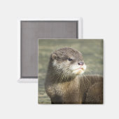 Aimant Bébé mignon Otter (Recto/Verso)