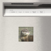 Aimant Bébé mignon Otter (In Situ (Lave-vaisselle))