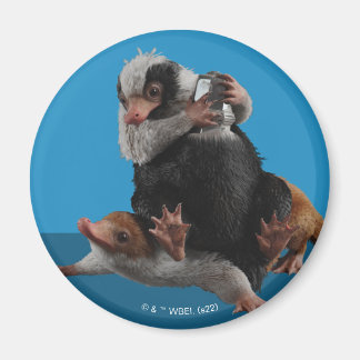 Aimant Bébé Nifflers Trouve Un Prix