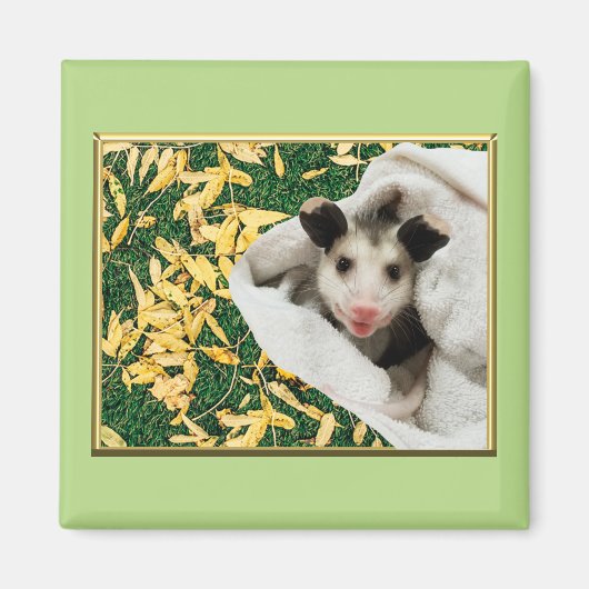 Aimant Bébé opossum adorable et doux (Devant)