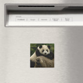 Aimant Bébé panda géant Ailuropoda melanoleuca) (In Situ (Lave-vaisselle))