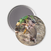 Aimant Bébé singe (Recto/Verso)
