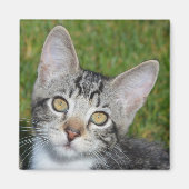 Aimant Bébé Trinité (Devant)