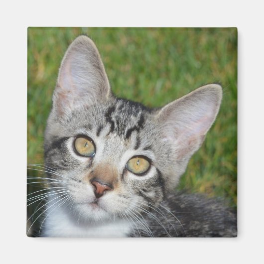 Aimant Bébé Trinité (Devant)