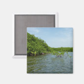 Aimant Bébés palétuviers dans les Caraïbes (Recto/Verso)