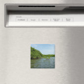 Aimant Bébés palétuviers dans les Caraïbes (In Situ (Lave-vaisselle))