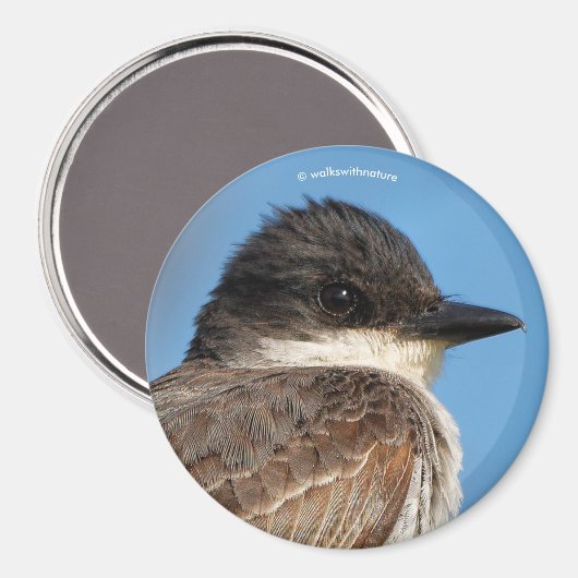 Aimant Bécasseau de l'Est sur une branche (Recto/Verso)