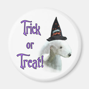 Aimant Bedlington Terrier Trick