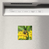 Aimant Bee Feasting on Butterfly Weed Wildflowers (In Situ (Lave-vaisselle))