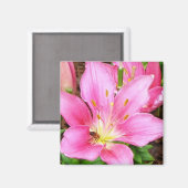 Aimant Bee in a Lilly (Recto/Verso)