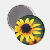 Aimant Bee On Black Eyed Susan Flower Nature  (Recto/Verso)