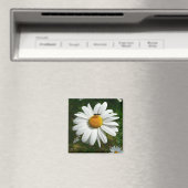 Aimant Bee on Daisy Alaskan Summer Nature (In Situ (Lave-vaisselle))