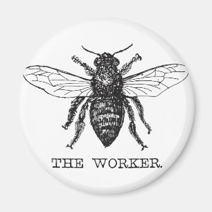Aimant Bee Worker Honey Black Bumblebee