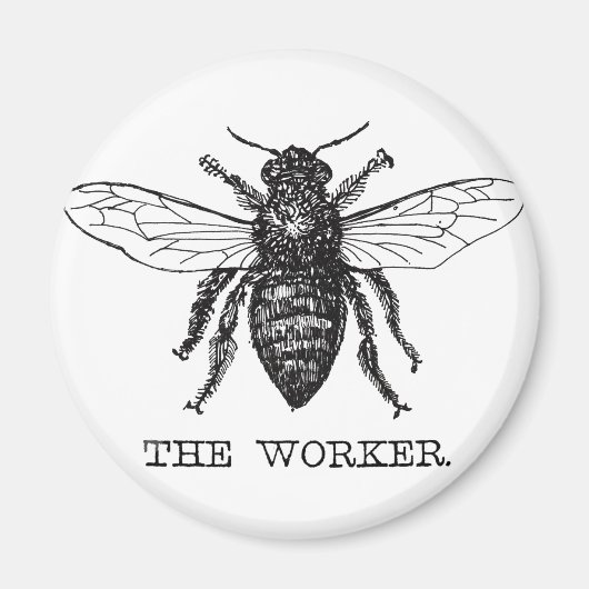Aimant Bee Worker Honey Black Bumblebee (Devant)