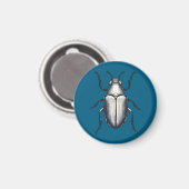 Aimant Beetle (Recto/Verso)